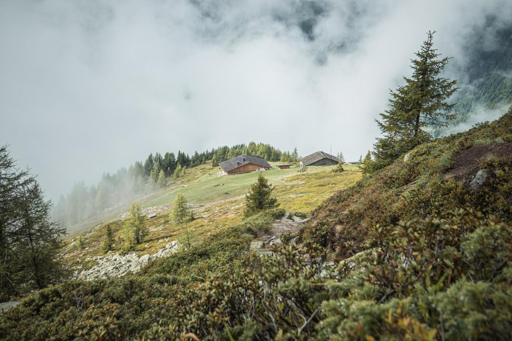 Apparthotel Sonnwies Selva dei Molini Luaran gambar